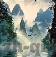 福利视频一区二区微拍视频-探索网络文化新视角，福利视频一区二区与微拍视频的多元影响