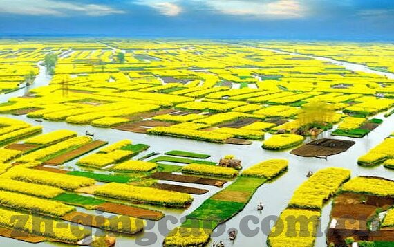 麻豆苏畅在线视频-麻豆苏畅，在线视频演绎的青春魅力