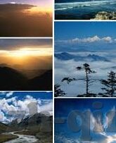 糖心直播app下载地址-探索多元娱乐的全新门户，解锁糖心直播的精彩世界